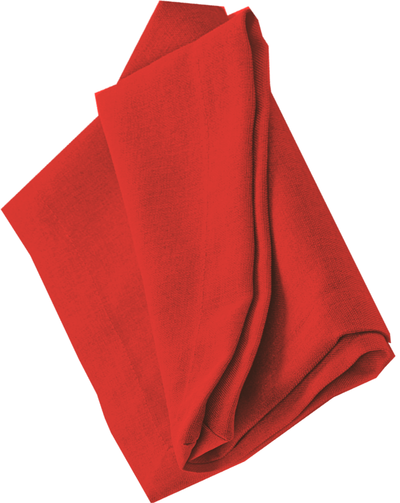 Appetizer_pretzel_napkin