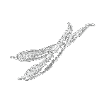 transparent-thumbnail-42