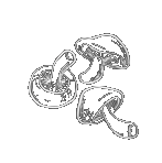 transparent-thumbnail-43